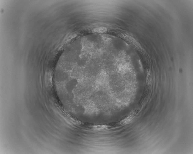 X0000061730363200512302152