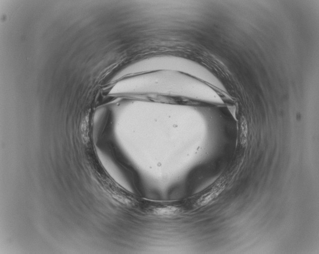 X0000061730364200512302152