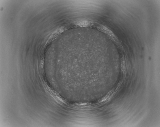 X0000061730365200512302152