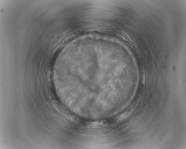 X0000061730366200512302152