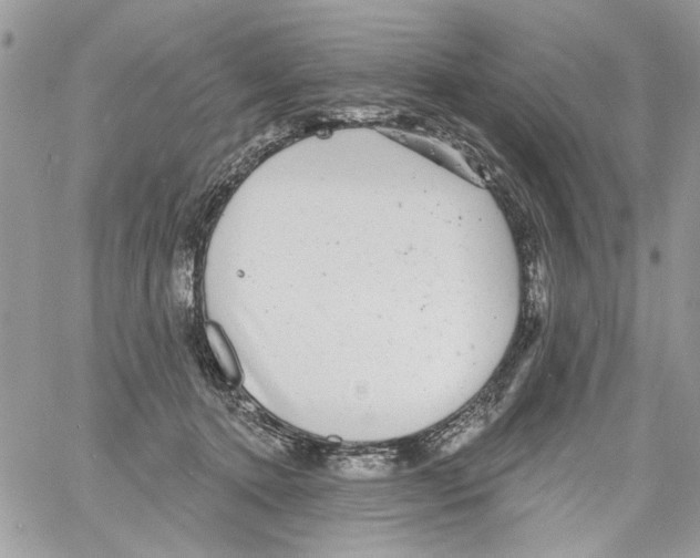 X0000061730368200512302152