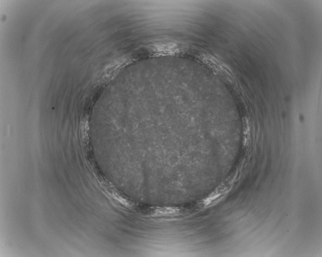 X0000061730369200512302152