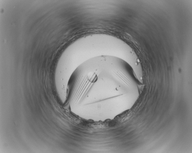 X0000061730370200512302152