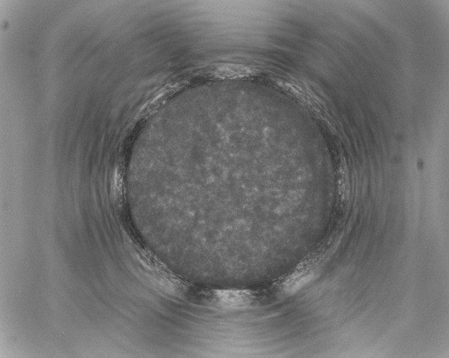 X0000061730371200512302152