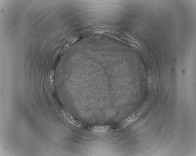 X0000061730373200512302152