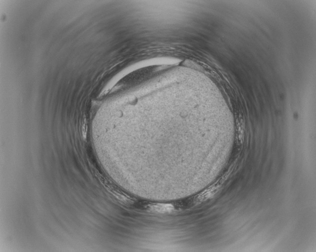 X0000061730374200512302152