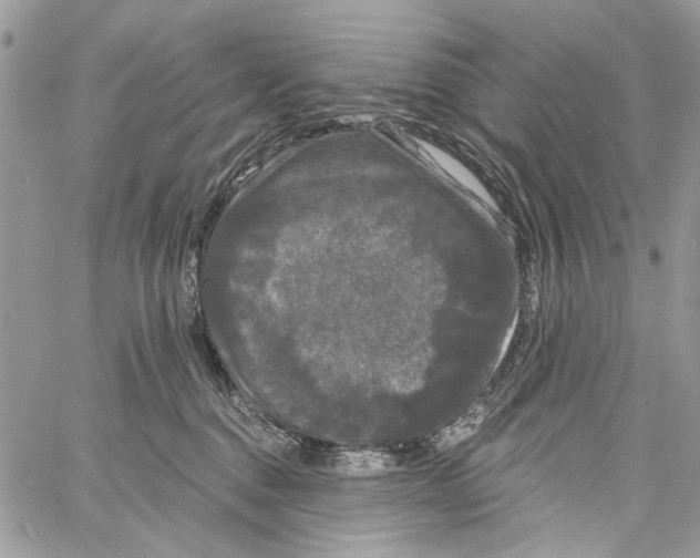 X0000061730376200512302152