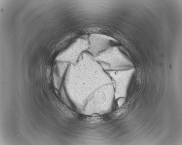 X0000061730378200512302152