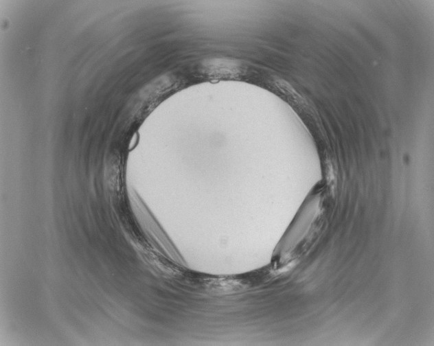 X0000061730379200512302152