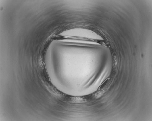 X0000061730380200512302152