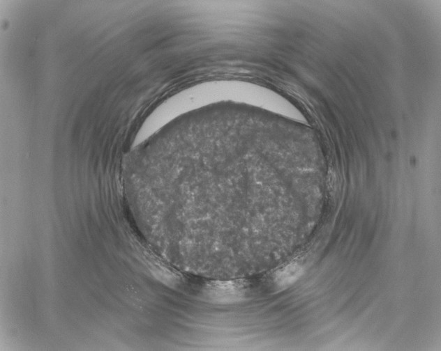 X0000061730381200512302152