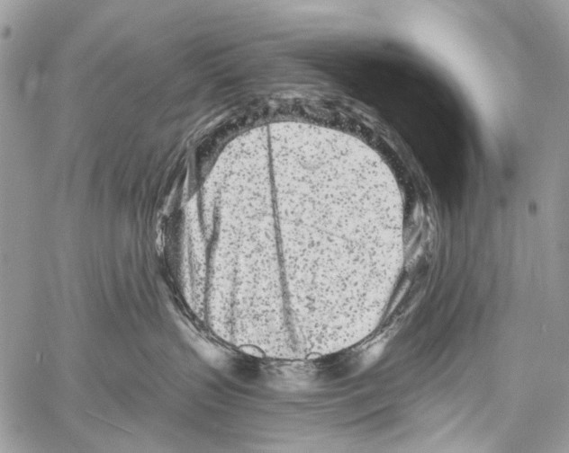 X0000061730383200512302152