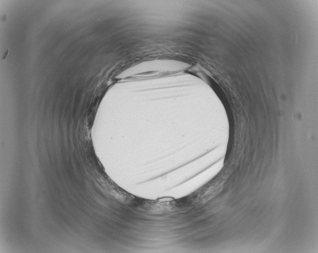 X0000061730384200512302152