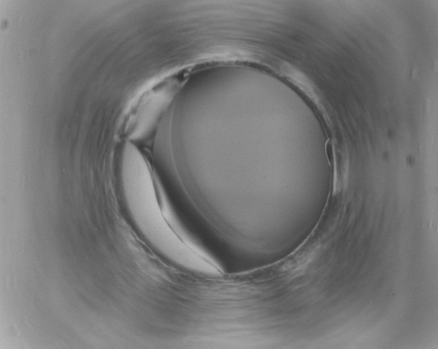 X0000061730387200512302151