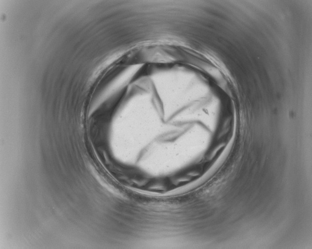 X0000061730389200512302151