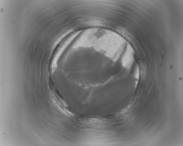 X0000061730390200512302151