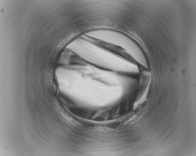 X0000061730393200512302151