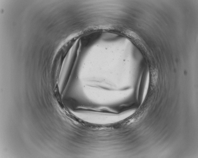 X0000061730395200512302151