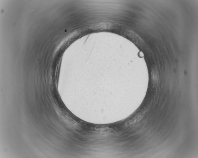 X0000061730396200512302151