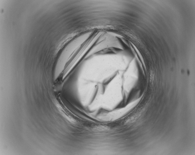 X0000061730397200512302151