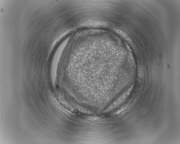 X0000061730399200512302151