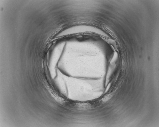 X0000061730401200512302151