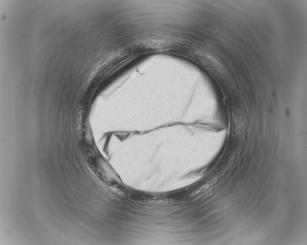 X0000061730404200512302151