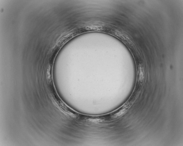 X0000061730408200512302151