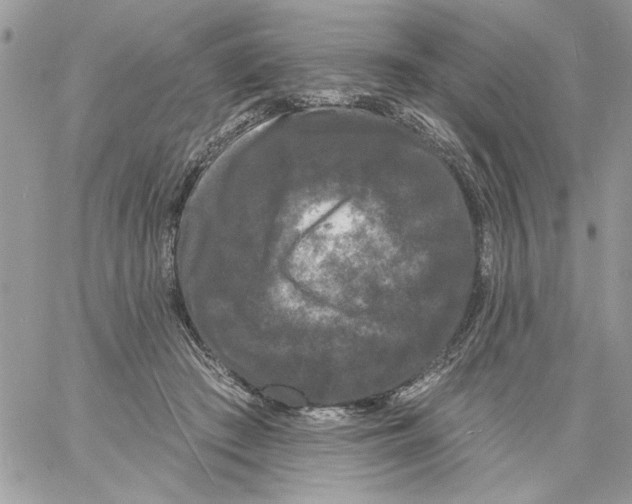 X0000061730409200512302151