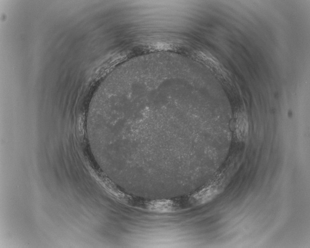 X0000061730410200512302151