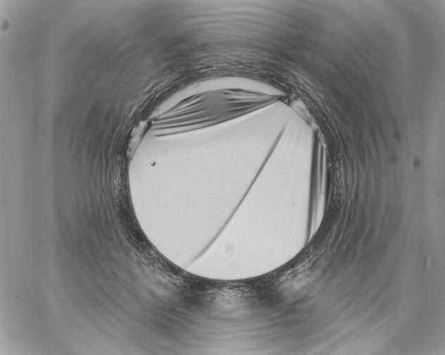 X0000061730412200512302151