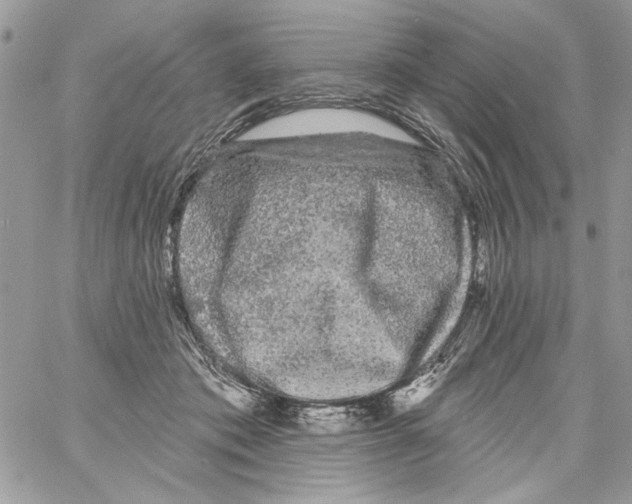 X0000061730413200512302151