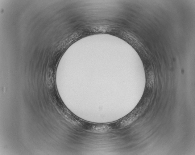 X0000061730414200512302151