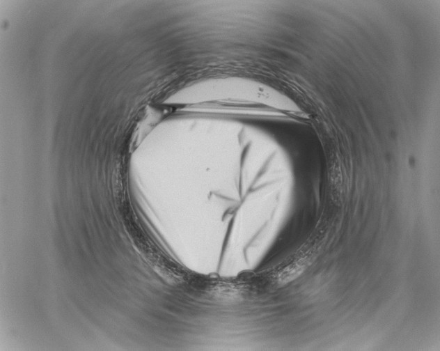 X0000061730416200512302151