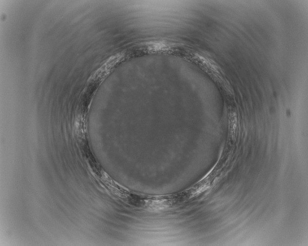 X0000061730419200512302151