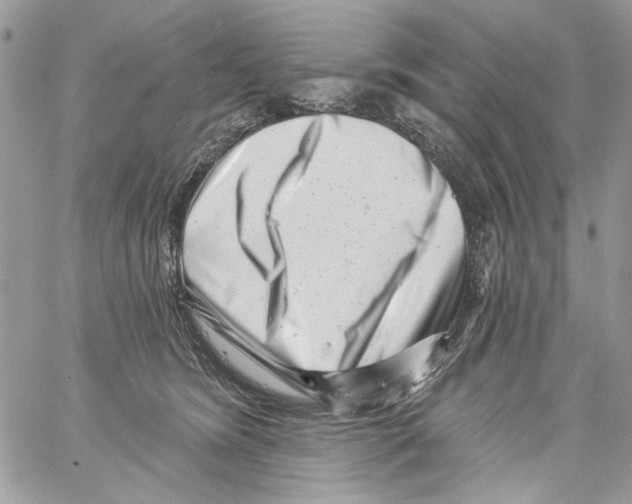 X0000061730420200512302151