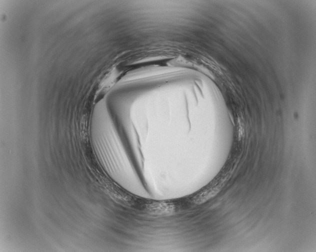 X0000061730421200512302151