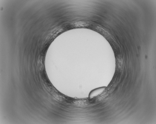 X0000061730422200512302151