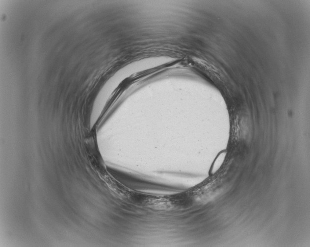 X0000061730424200512302150