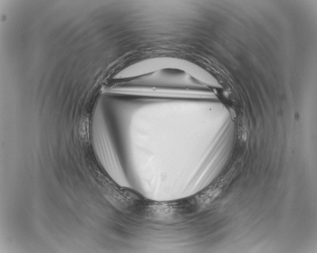 X0000061730425200512302150