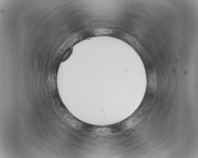 X0000061730426200512302150