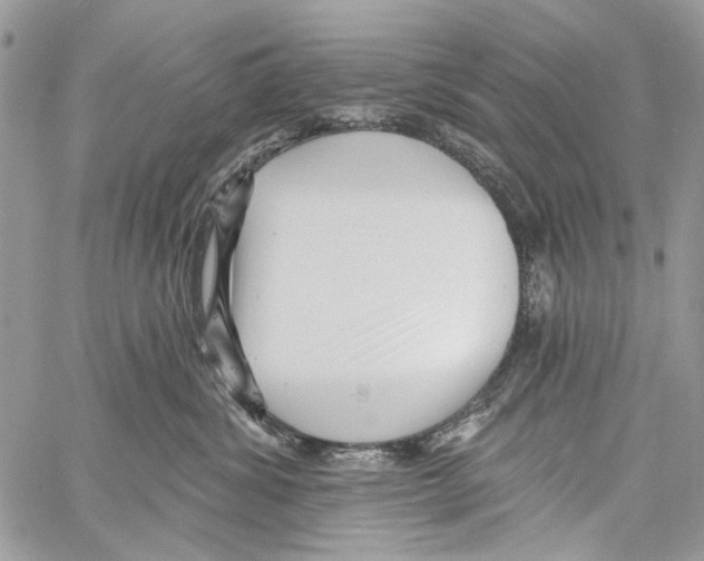 X0000061730428200512302150