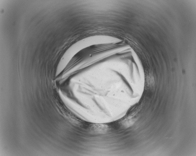 X0000061730429200512302150