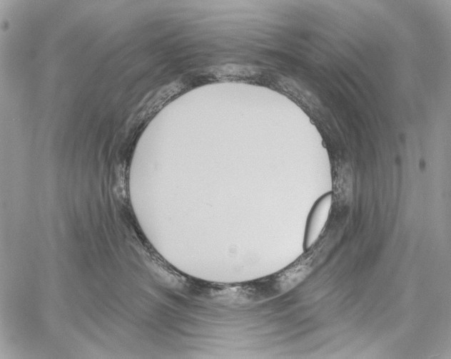 X0000061730430200512302150