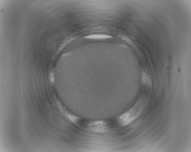 X0000061730431200512302150