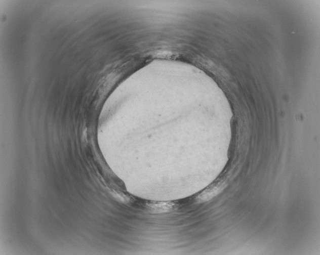 X0000061730432200512302150