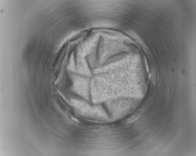 X0000061730434200512302150