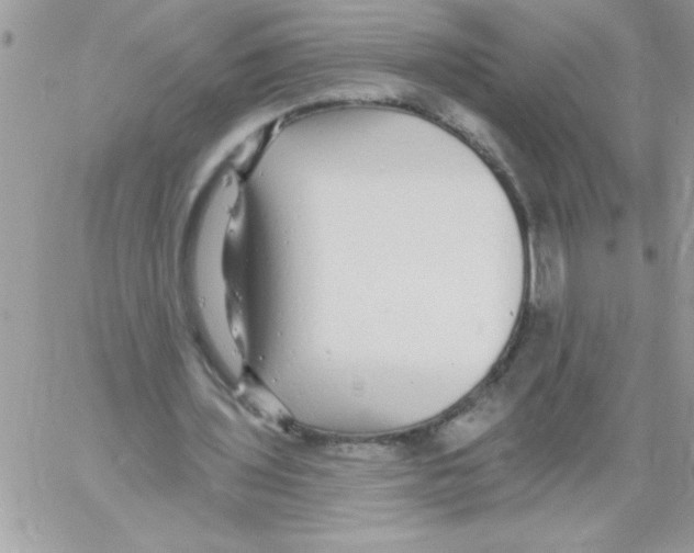 X0000061730435200512302150