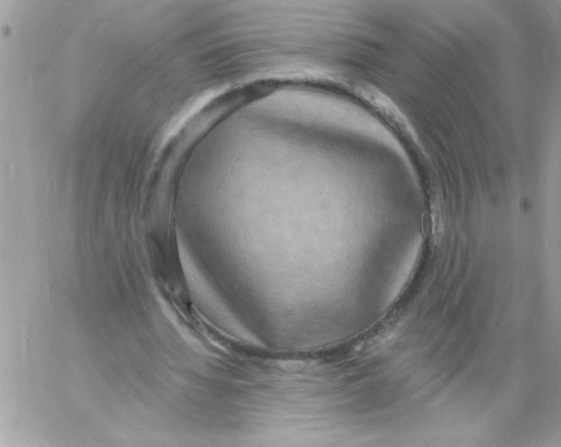 X0000061730436200512302150