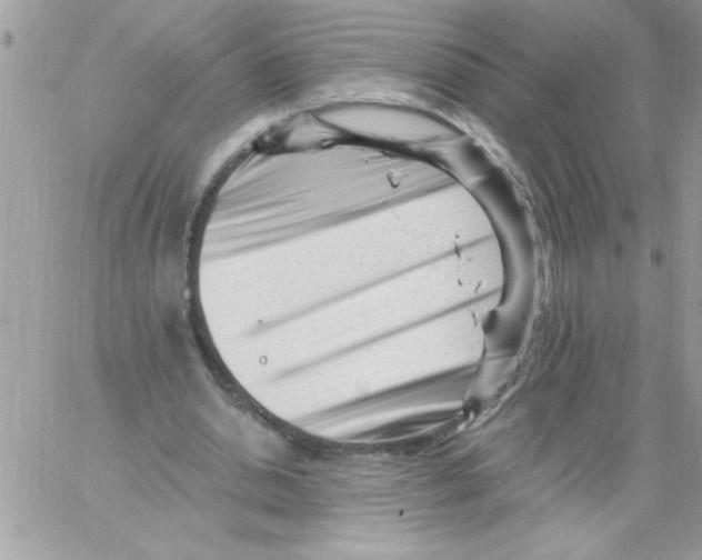 X0000061730438200512302150